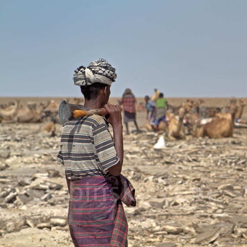 Etiopia1: Karawany solne