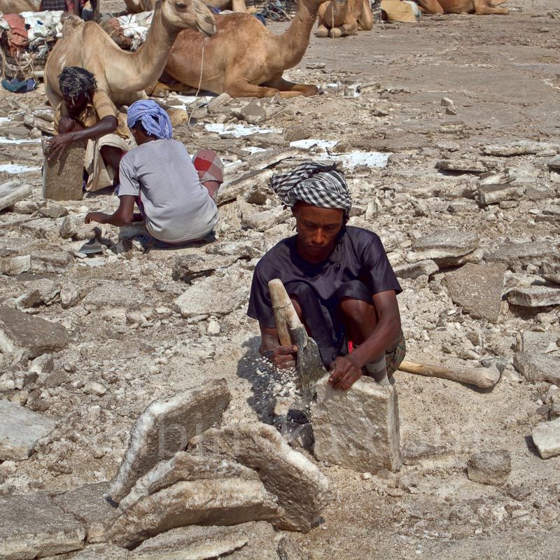 Etiopia1: Karawany solne