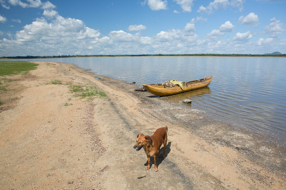 Podróże do Azji: Ruiny w Anuradhapura