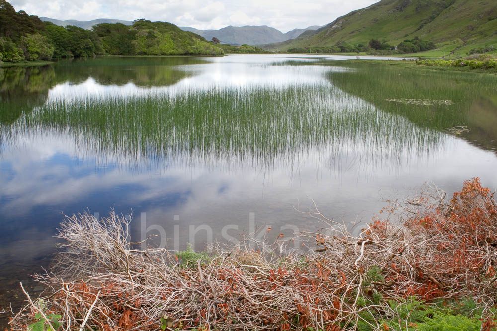 Europa: Irlandia
